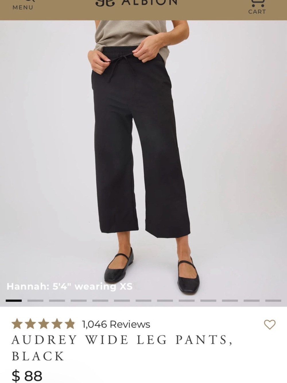 Albion wide leg pants black